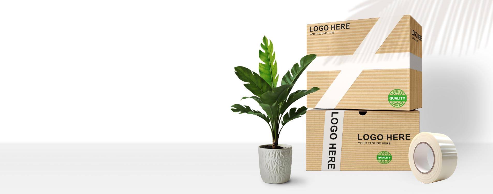 Corrugated Boxes